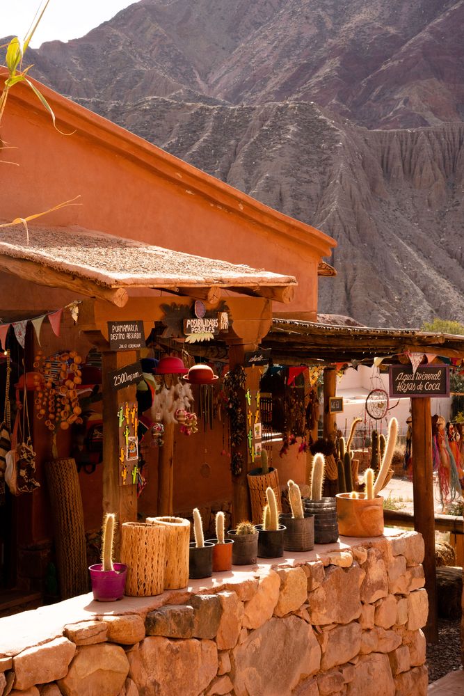 Cactus - Que faire autour de Salta Nord de l'Argentine ? Itinéraire, road-trip, paysages - boucle nord, Purmamarca