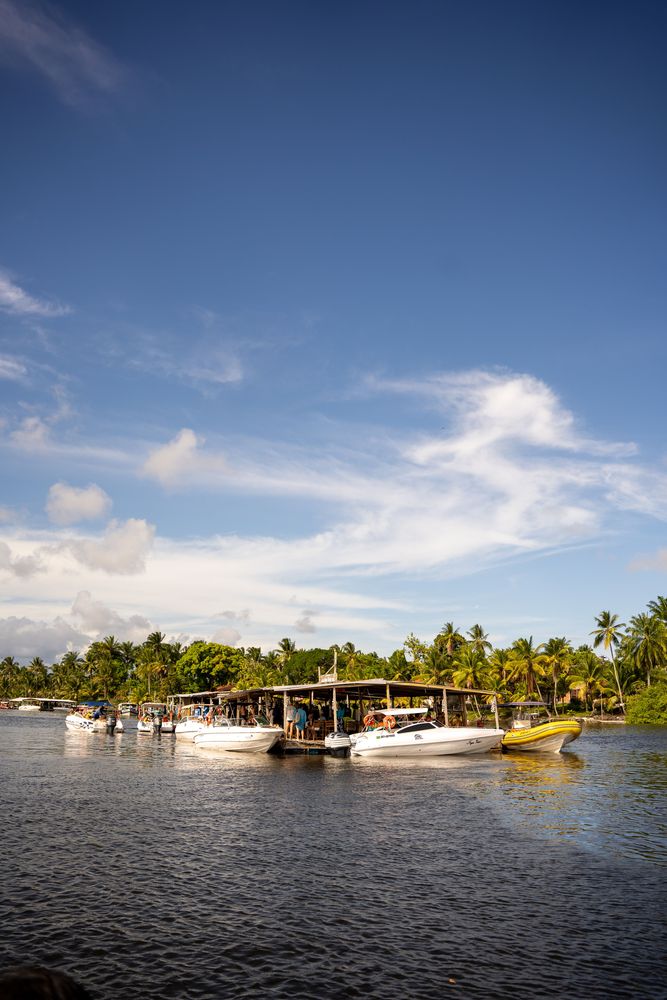 Huitres Boipeba Tinharé Morro de Sao Paulo Brésil