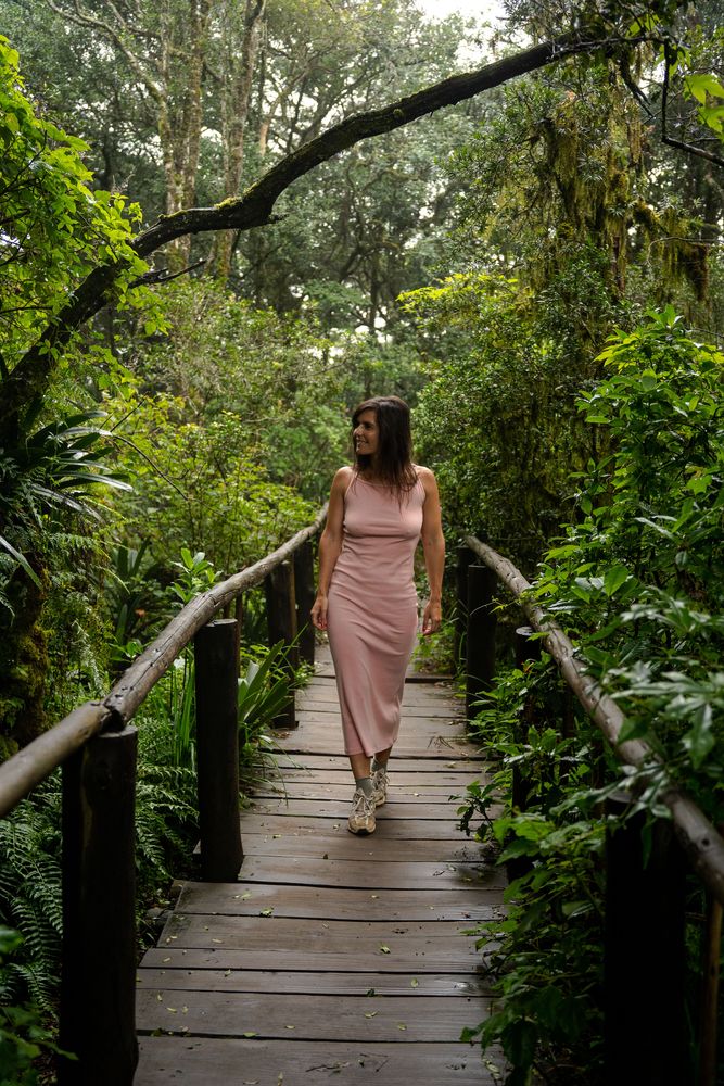 Forêt God's Window Road-trip Blyde River Canyon Graskop Panorama Road Itinéraire Afrique du Sud 