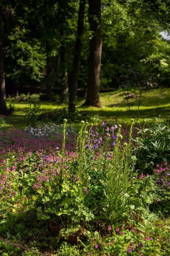 Boyana Church - Eglise Boyana Parc Sofia Bulgarie