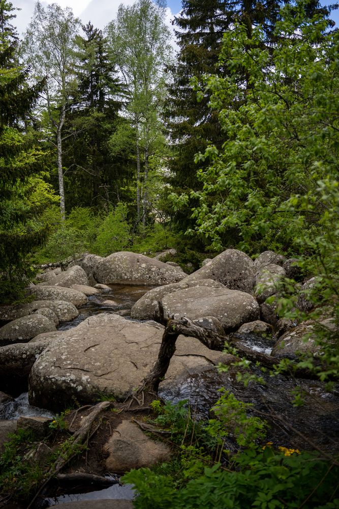 Vitosha Randonnée Sofia Bulgarie