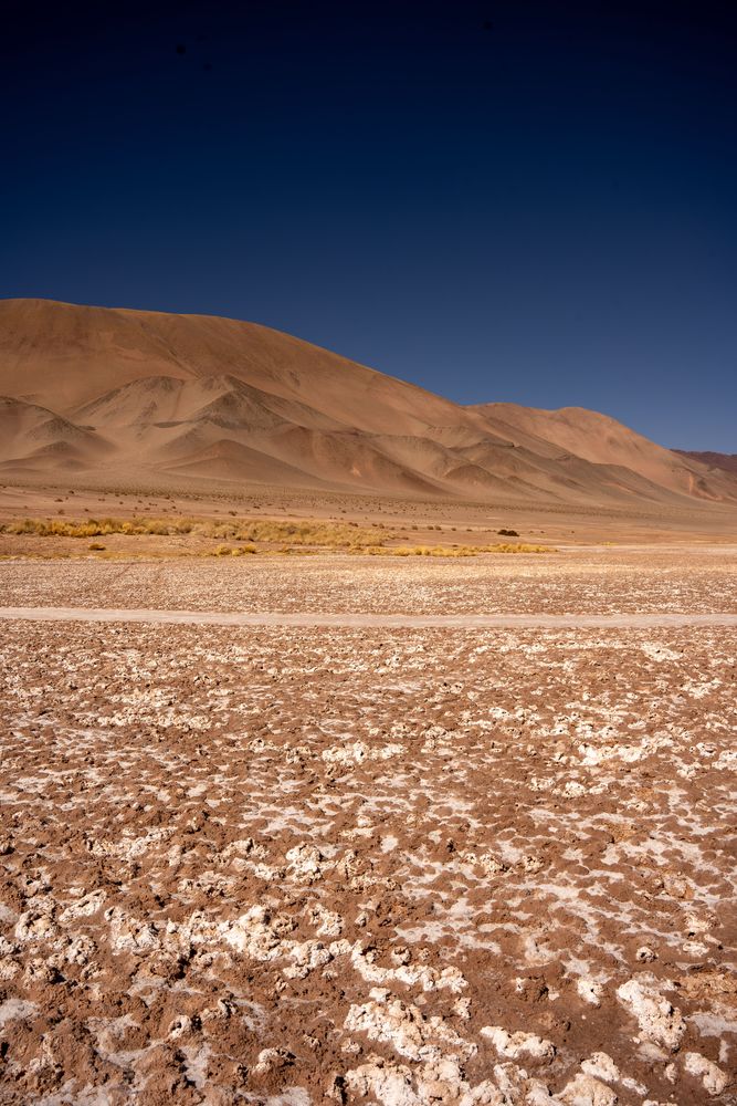 Tolar Grande Argentine road-trip itinéraire conseils Salta