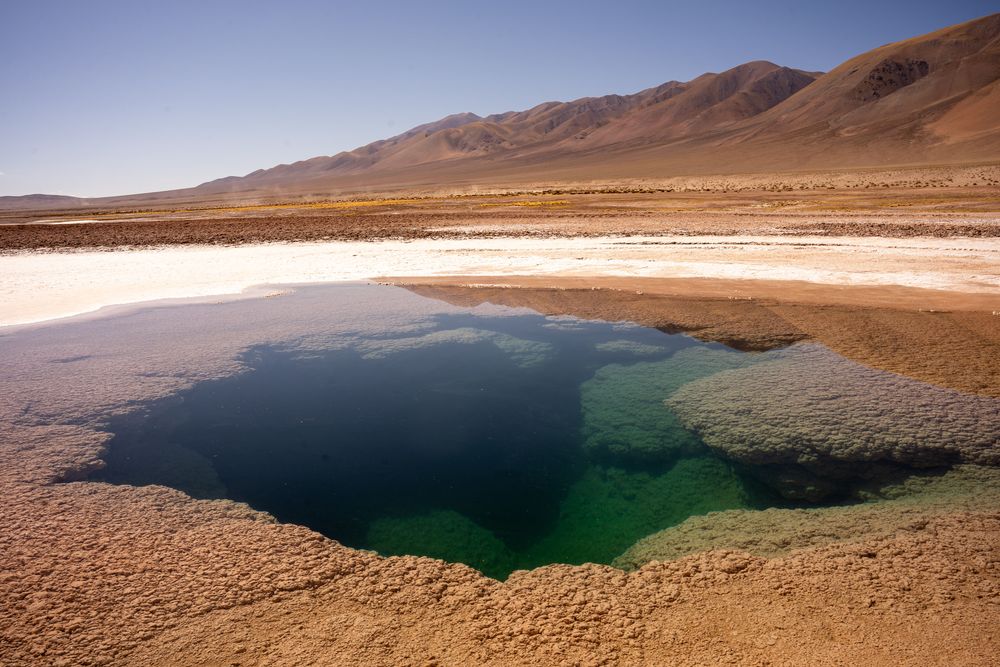 Que faire autour de Salta Nord de l'Argentine ? Itinéraire, road-trip, paysages - Tolar Grande