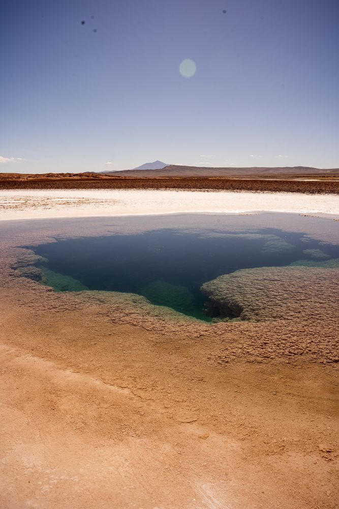 Ojo del mar Tolar Grande Argentine road-trip itinéraire conseils Salta