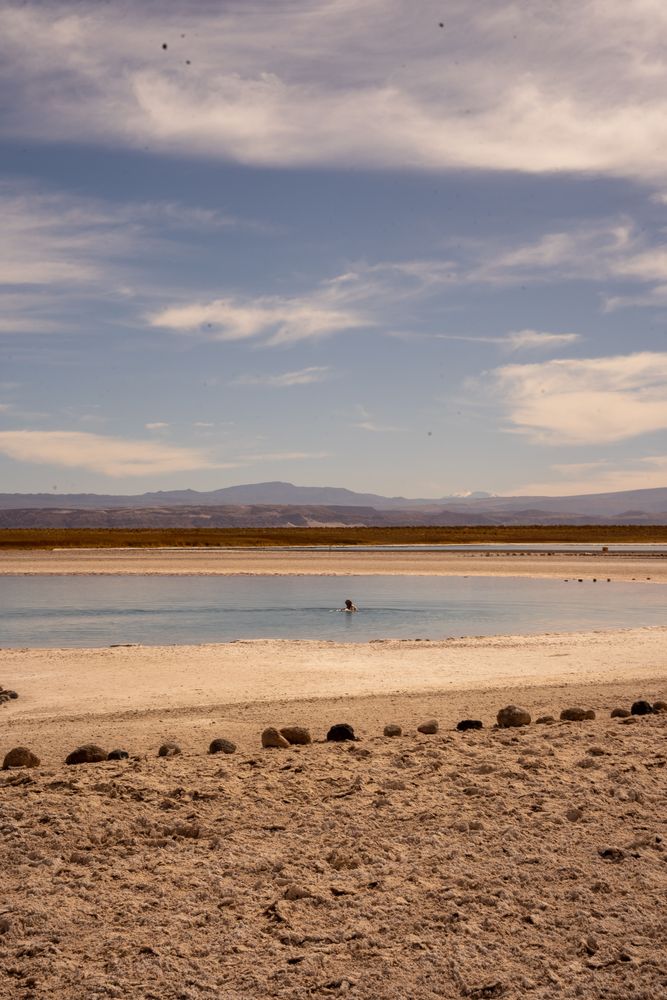 Laguna Cejar Désert d'Atacama San Pedro de Atacama Chili