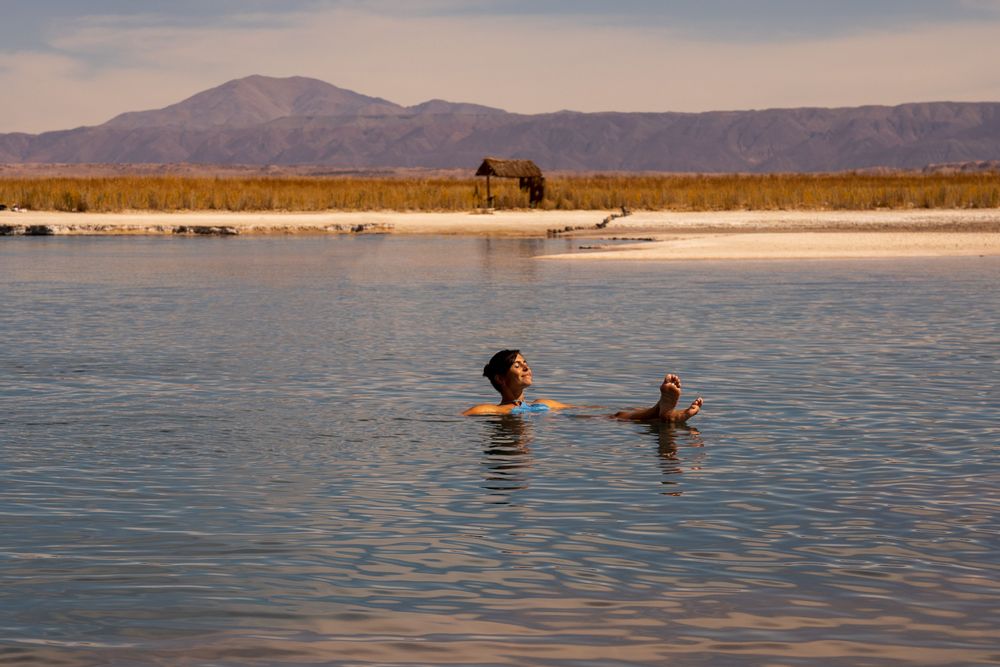Laguna Cejar Désert d'Atacama San Pedro de Atacama
