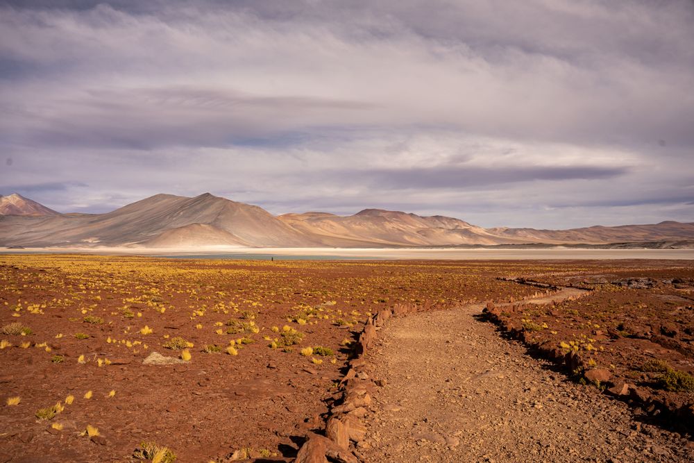 Piedras Rojas Désert d'Atacama San Pedro de Atacama Chili