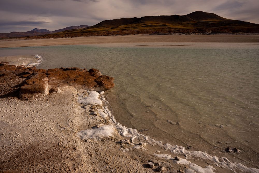 Piedras Rojas Désert d'Atacama San Pedro de Atacama Chili