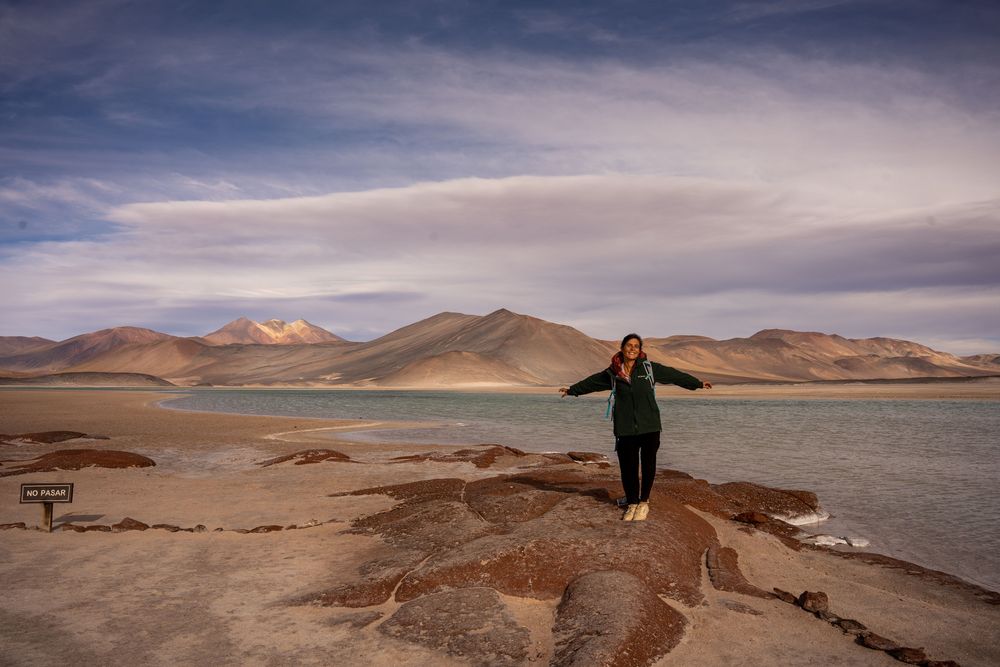 Piedras Rojas Désert d'Atacama San Pedro de Atacama Chili