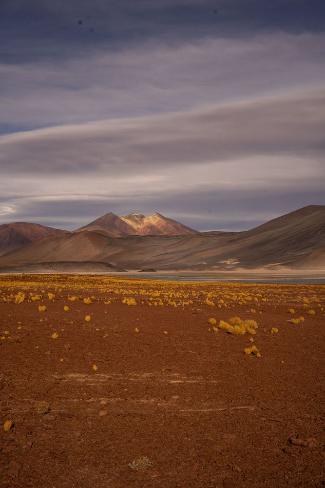 Laguna Cejar Désert d'Atacama San Pedro de Atacama Chili