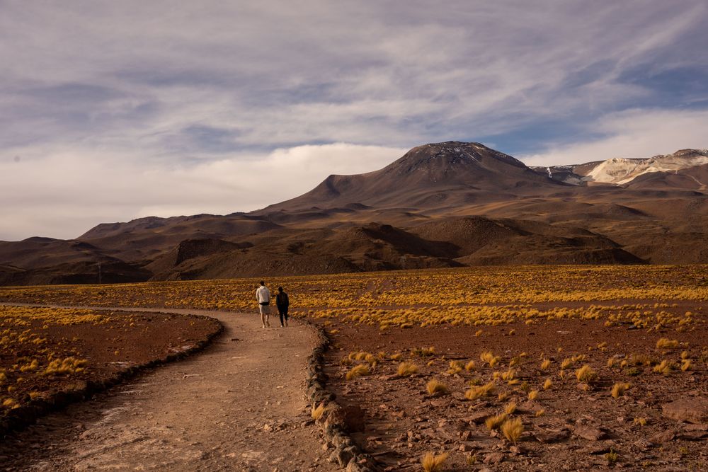 Piedras Rojas Désert d'Atacama San Pedro de Atacama Chili
