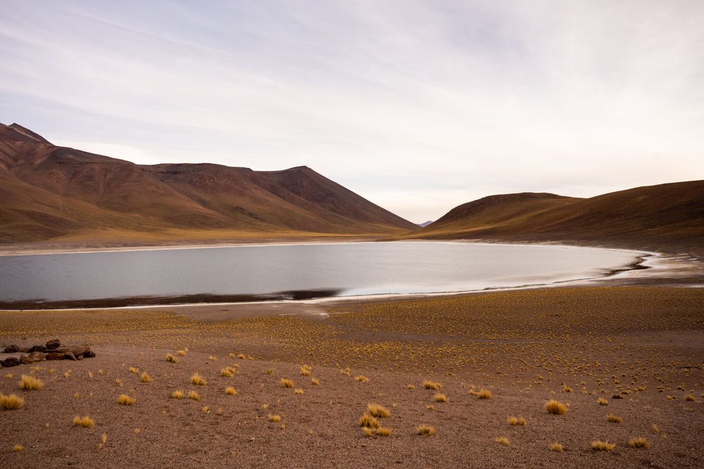 Piedras Rojas Désert d'Atacama San Pedro de Atacama Chili