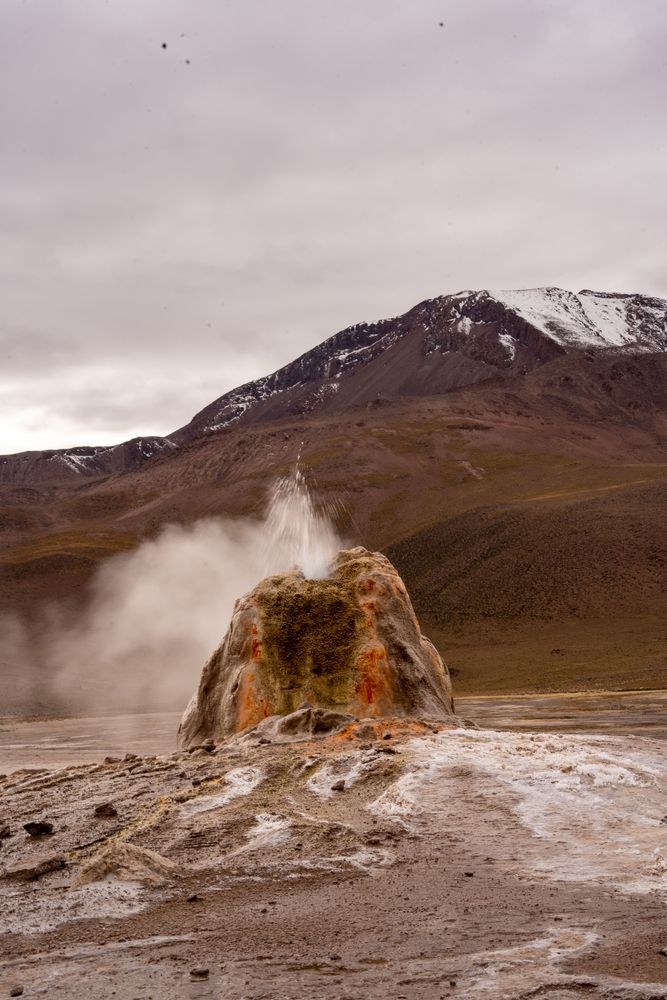 Geysers d'El Tatio Désert d'Atacama San Pedro de Atacama Chili
