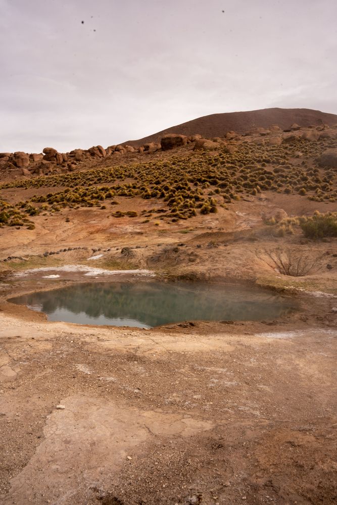 Geysers d'El Tatio Désert d'Atacama San Pedro de Atacama Chili