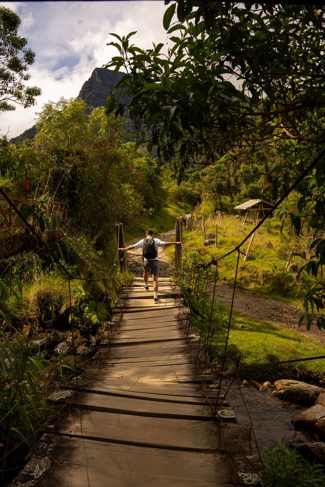 Trek pont vallée de cocora colombie