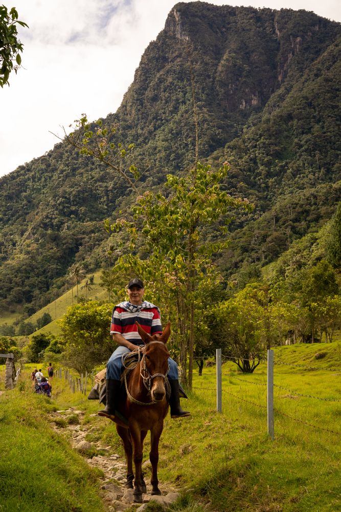 Salento Vallée de Cocora Colombie - trek, randonnée, que faire ? Où dormir ? Meilleurs restaurants ? Incontournables