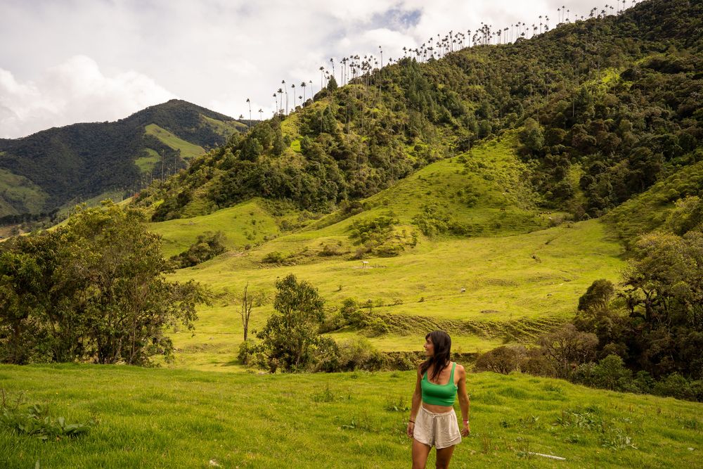 Salento Vallée de Cocora Colombie - trek, randonnée, que faire ? Où dormir ? Meilleurs restaurants ? Incontournables