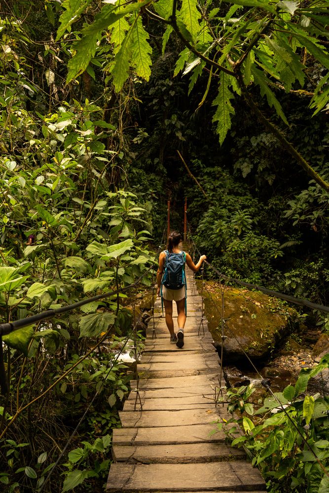 Salento Vallée de Cocora Colombie - trek, randonnée, que faire ? Où dormir ? Meilleurs restaurants ? Incontournables