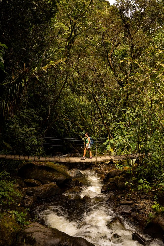 Salento Vallée de Cocora Colombie - trek, randonnée, que faire ? Où dormir ? Meilleurs restaurants ? Incontournables