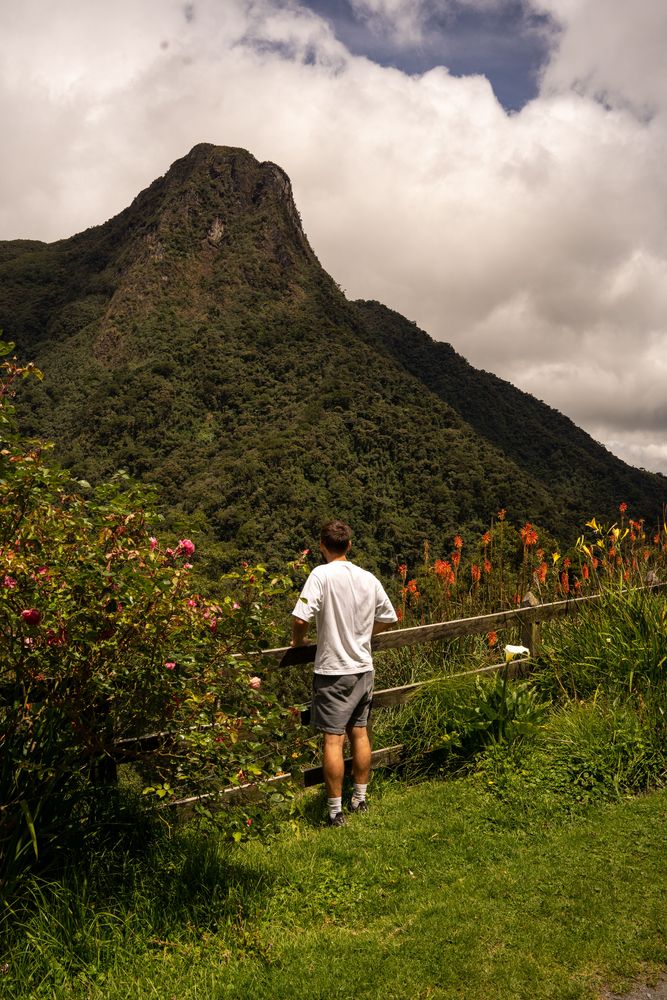 Salento Trek Randonnée de la Vallée de Cocora Colombie