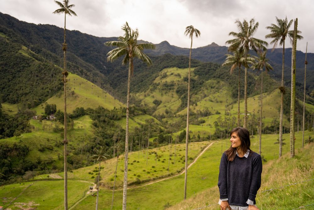 Salento Trek Randonnée de la Vallée de Cocora Colombie