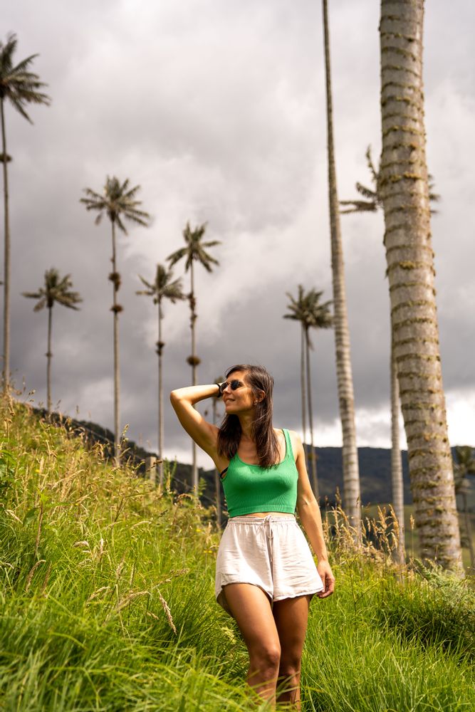 Salento Trek Randonnée de la Vallée de Cocora Colombie