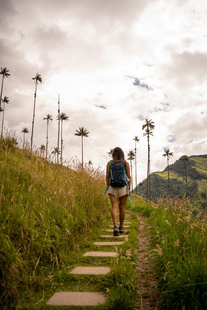 Salento Trek Randonnée de la Vallée de Cocora Colombie 