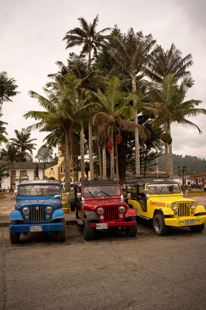 Salento Trek Randonnée de la Vallée de Cocora Colombie