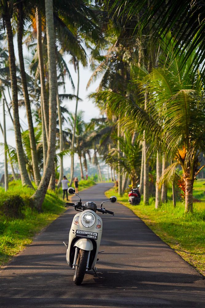 Scooter Bali Pemuteran