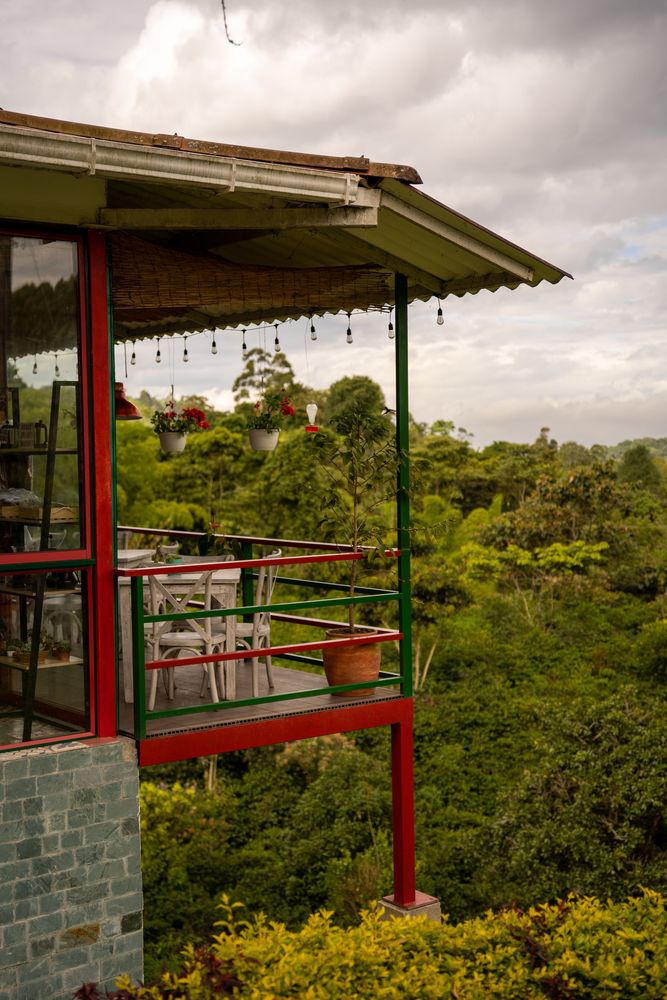 Finca de Café Salento Trek Randonnée de la Vallée de Cocora Colombie