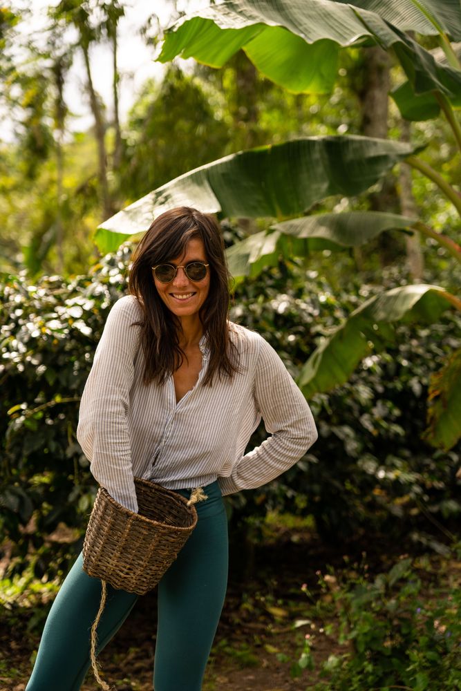 Finca de Café Salento Colombie - Finca El Ocaso