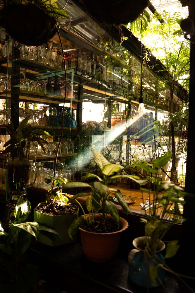 Alambique Medellin Colombie