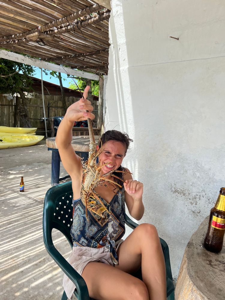 Langouste Tintinpan Ile Colombie