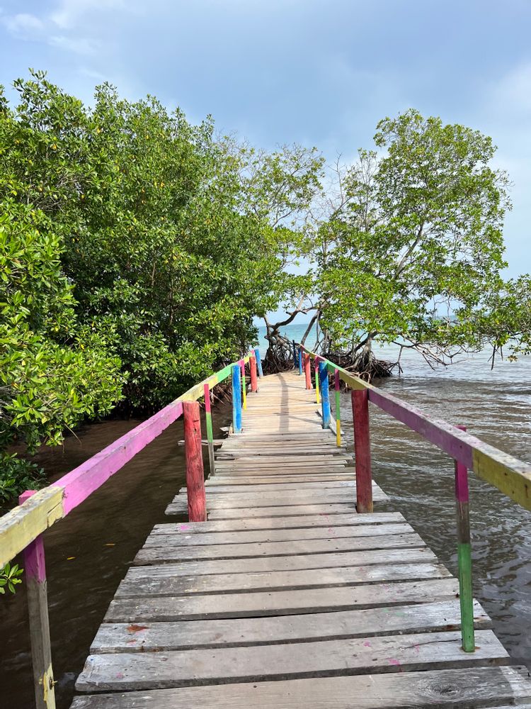 Mucura - Carthagène des Indes Colombie