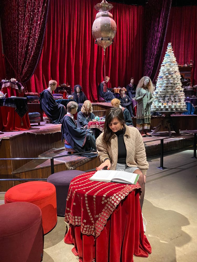 Studios Harry Potter Londres Trellawney Divination