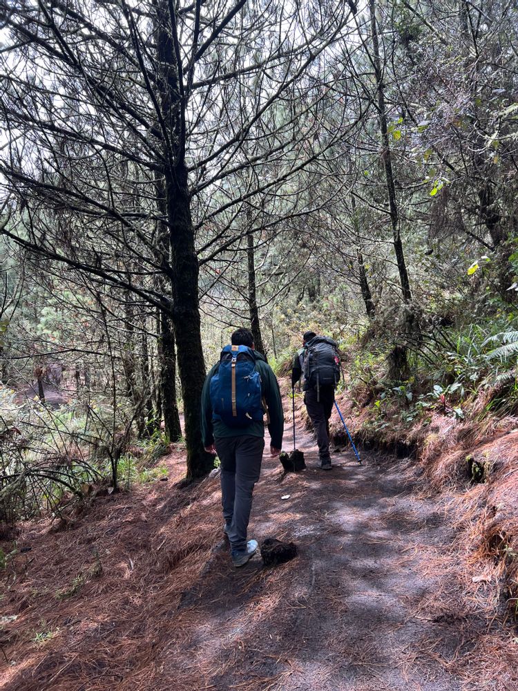 Ascension du volcan Acatenengo El Fuego Guatemala vhiking tours