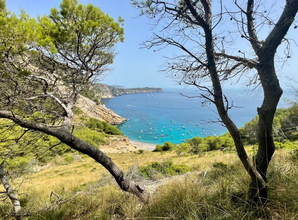platja del colls baix plus belles plages majorque