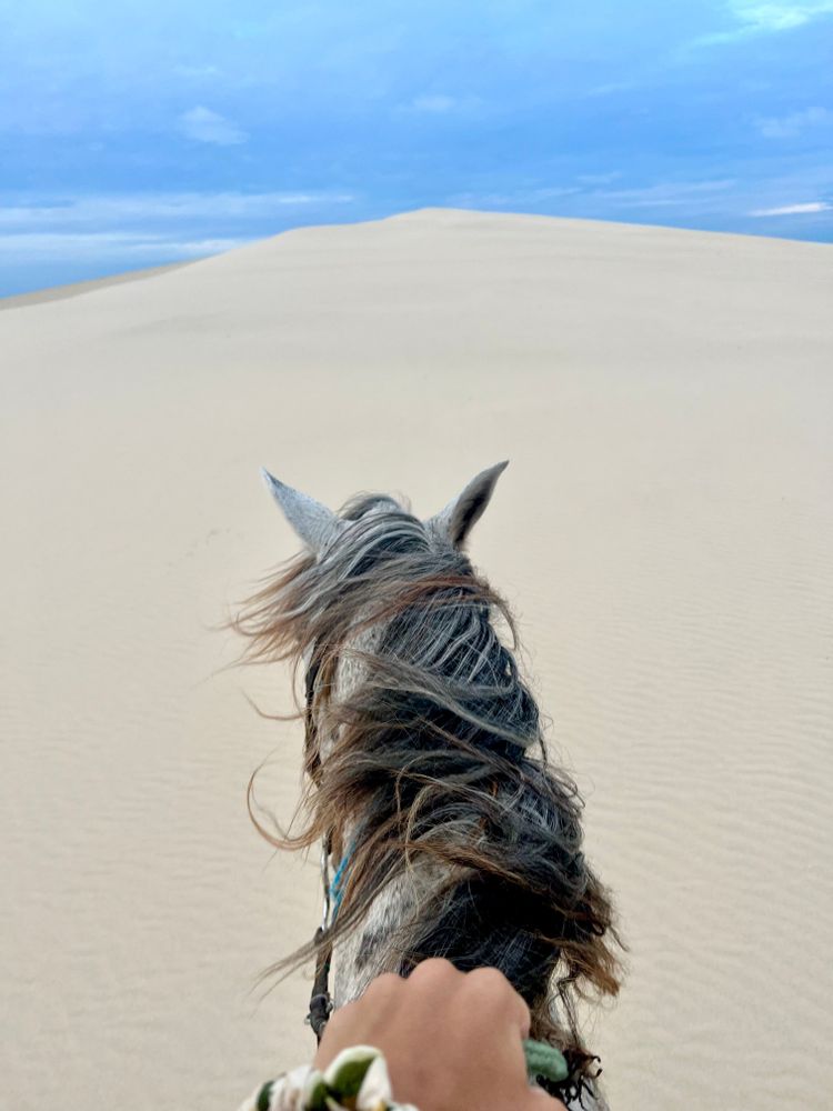 Itinéraire Nordeste brésil Jericoacoara cheval sur la plage