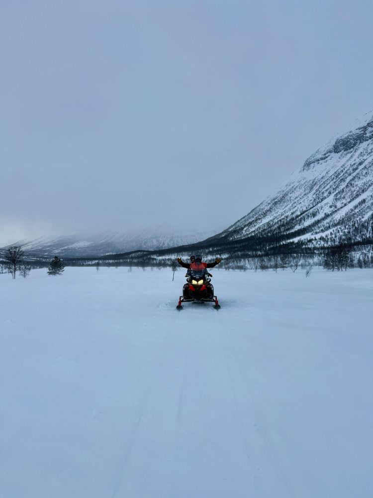 Motoneige à Tromsø en Norvège au camp Tamok