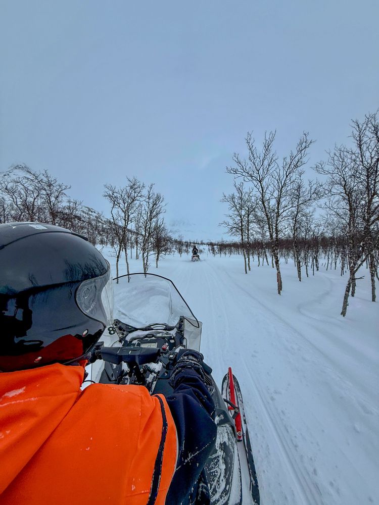 Motoneige à Tromsø en Norvège au camp Tamok