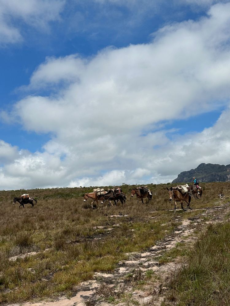 VALE DO PATI trek randonnée Chapada Diamantina brésil 