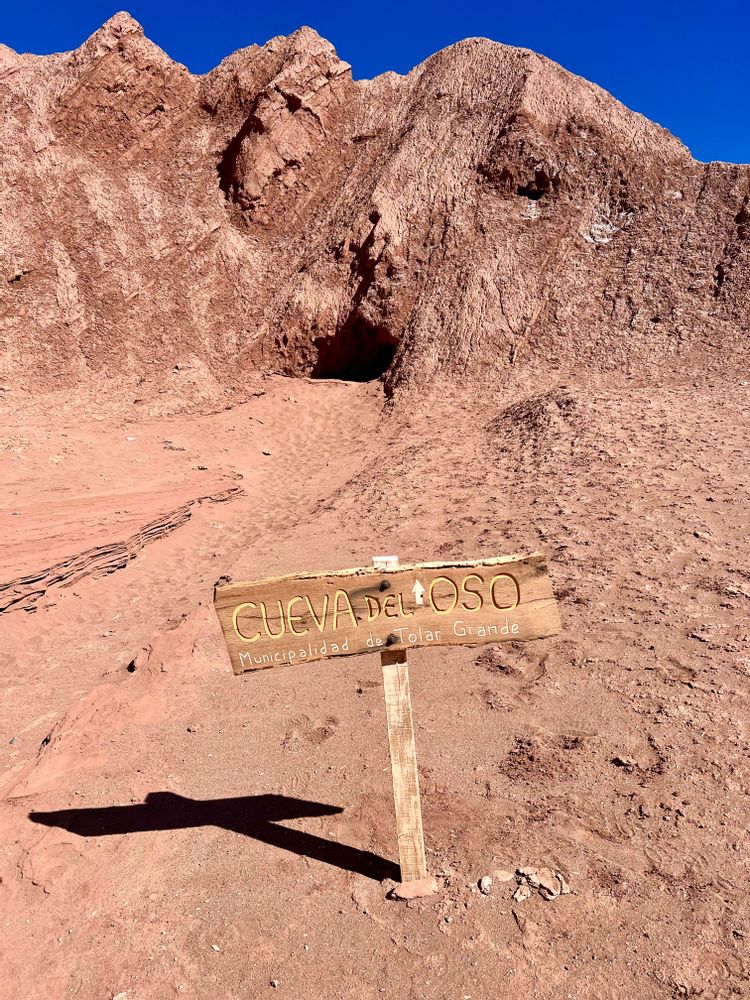 Cueva del Oso Tolar Grande Argentine road-trip itinéraire conseils Salta