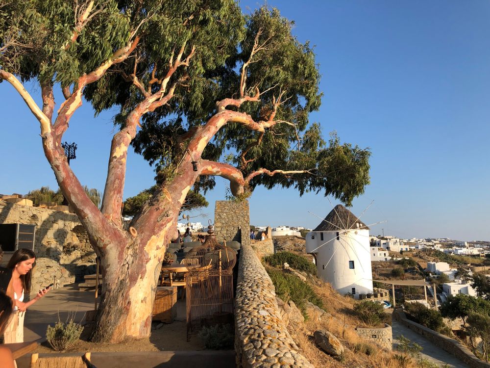 Moulins Mykonos Grèce