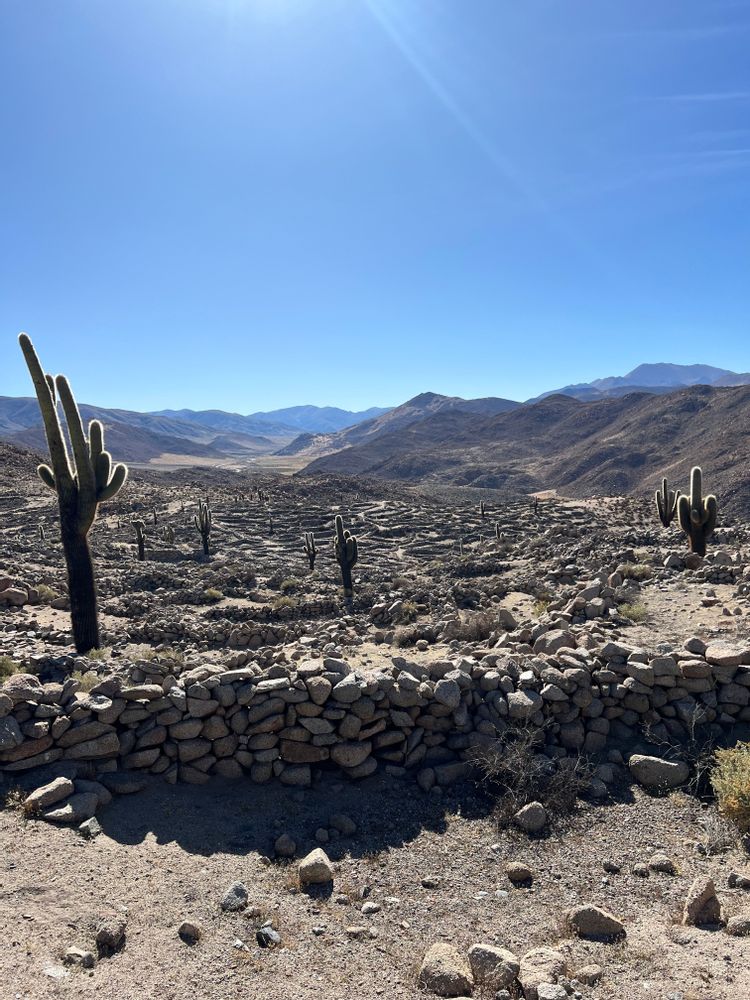 Tolar Grande Argentine road-trip itinéraire conseils Salta