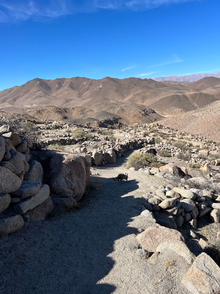 Tolar Grande Argentine road-trip itinéraire conseils Salta