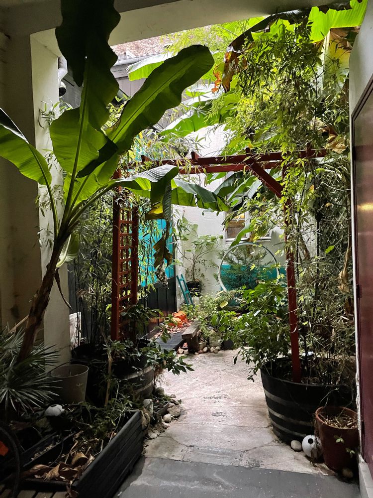 activités insolites paris meiso