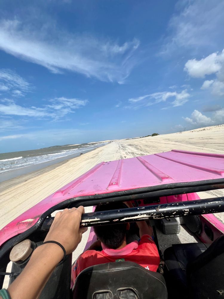 Itinéraire Nordeste brésil Jericoacoara poisson laguna