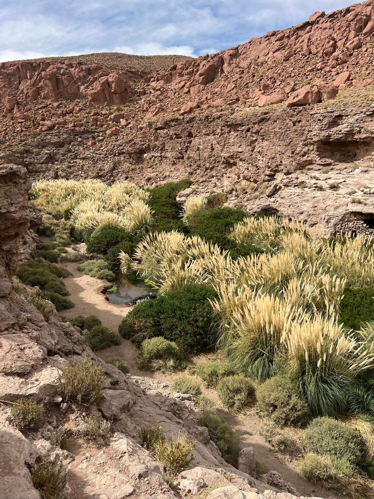 Sources d'eau chaude Puritama thermes Désert d'Atacama San Pedro de Atacama Chili