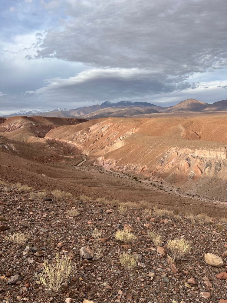 Vallée des Cactus Canyon de Guatin Désert d'Atacama San Pedro de Atacama Chili