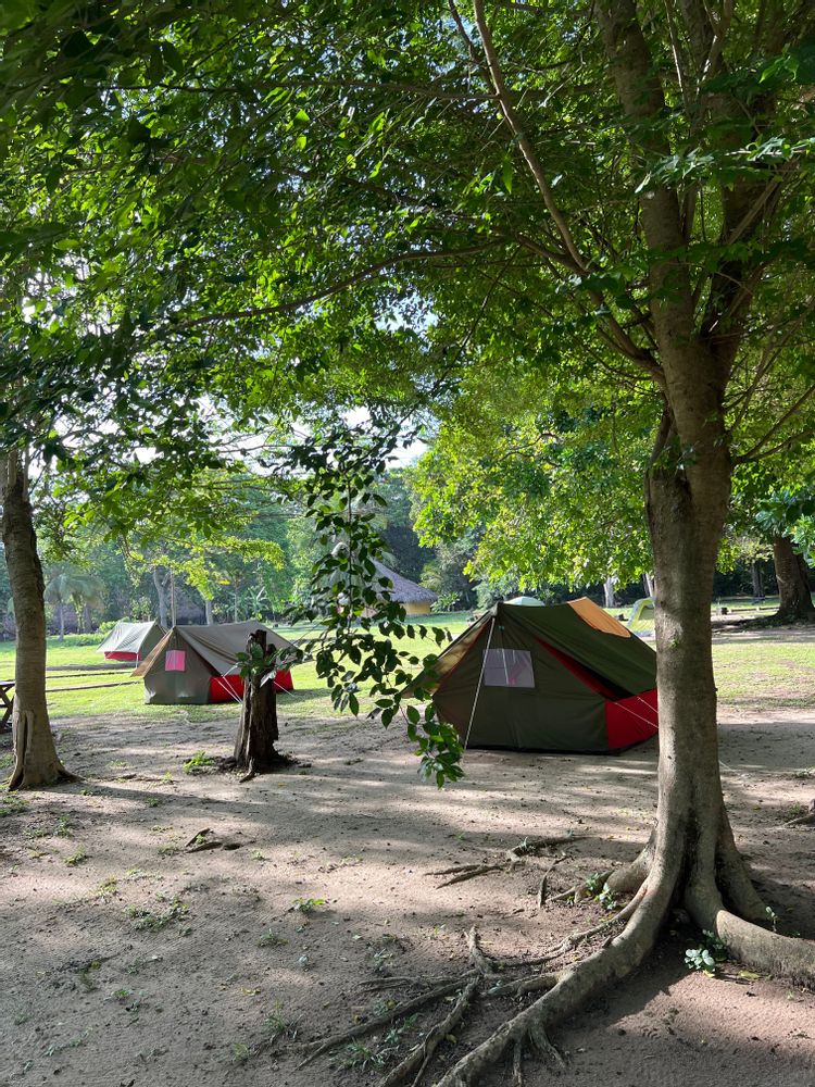 Parc Tayrona Colombie plus belles plages randonnée tentes